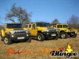 Hummer Yellow Fever!