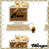 Rose