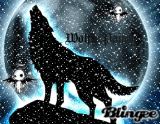 wolfs pain