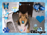 Doggy
