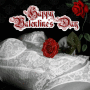 Happy Valentine's Day