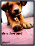 Do u?