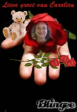 rozen
