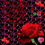 i love u