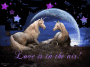 Unicorn Love