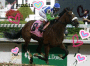 horseluvva4ever