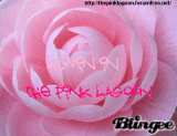 admin