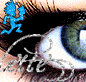 lette
