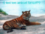 animal favori