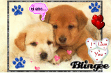 PUPPY LOVE