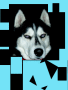 TUNDRA