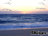 Beach Sun Rise