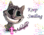 funny cat ! funny cat !