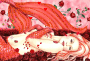Pink mermaid Pink mermaid