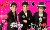 The Jonas brothers The Jonas brothers
