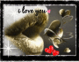 Saint valentin