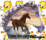 chevaux