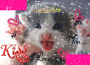 Minou!