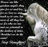 Stop horse slaughter!!!