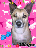 yukay