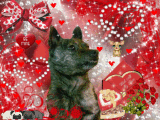 Snick VDay