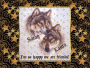 Wolf Friends
