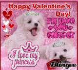 puppy love
