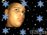 polar