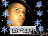 DJ POLAR