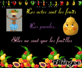 fruit
