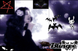 dArK NIgHt