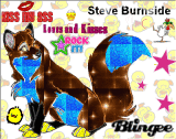 Steve Burnside fox