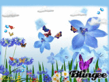 fleurs5
