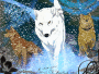 Wolf's rain Wolf's rain