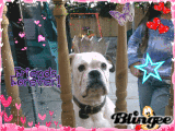 trudi