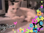 my love thomas