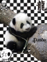 D.N.ANGEL_LOVER123