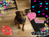 doggie1238