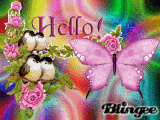hello