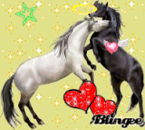 L'amour des chevaux
