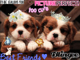 Picture perfect