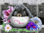 rainy spring bling
