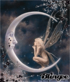 Fairy Moon