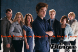 The Cullen Family The Cullen Family