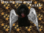 my little angel... my little angel...
