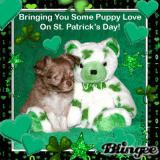 st. patty's puppy love
