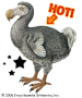DODO DODO