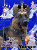 Prince Charming