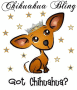 Got Chihuahua?