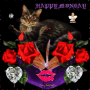 branka53 branka53
